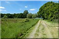 Track and grassland, Kingsley in GU35 9NJ