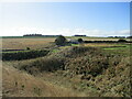 Tantallon Castle entrance building from Outer Ditch in EH39 5PW