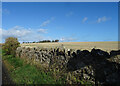 Field Dyke in EH39 5JJ