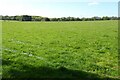 Field beside Field Barn Cottage in GL7 5HA