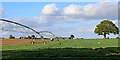 Crop field with irrigation rig near Beckbury, Shropshire in WV6 7HS