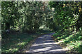 Lane north of Fyfield Manor in SN9 5JS