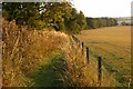 Bridleway and pasture, Lambourn in RG17 7RS
