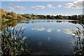 Lake and Reflections in DE7 8YA