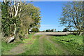 Field edge path east of Easton Royal in SN8 3BS
