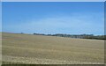 Hillside stubble field in SP5 3DQ