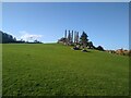 Hill in Coble Dene Park in NE29 6EE
