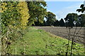 Field edge beside Cock Lane in SN8 4NJ