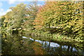 Early autumnal reflections, Kennet and Avon Canal in SN8 3FR