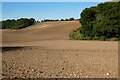 Farmland, Sonning Common in RG4 9NG