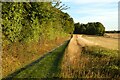 Woods, track and farmland, Ipsden in OX10 6QS