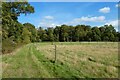 Paddocks and woodland, Yattendon in RG18 0NF