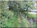 Footpath signed to Queenzieburn in G66 8AL