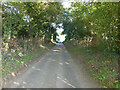 Beeston Lane going through Hazel Plantation in NR12 8YT
