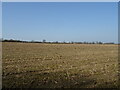 Stubble field off the A338 in SP2 8QL