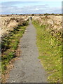 The path from North Gare to Seaton Carew in TS25 2DN