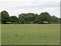 Field off Capper's Lane in CW6 9RN