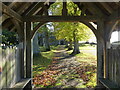 Tree lined path to church seen from lytch gate in NR12 8AR