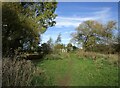Path leading to a footbridge over Back Dike in PE7 3UU