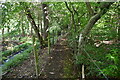 Narrow, wooded footpath in BN8 6ER