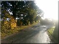 Fine Lane, Fradley, on a bright autumn morning in WS13 8GA