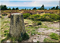 Trig Point, Mellor Moor in SK6 5NL