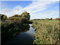 Backwater of the River Nene in PE7 3UU