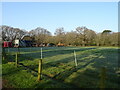 Grazing, West Parley in BH10 7HL