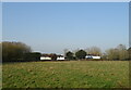 Grazing, Little Canford in BH21 7LS