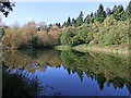 Forest pool south-east of Higford in Shropshire in WV15 5LT