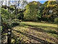 North Worcestershire Path in Cox's Coppice in DY12 1RH