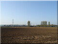 Prepared field, Lower Barford Farm in BH21 4BY
