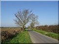 National Cycle Route 25 in BH21 4BY