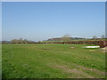 Grassland, Newton Peveril in BH21 4AD