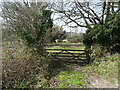 Field entrance, Mintern's Ferry in DT2 7JB