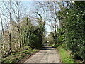 Lane towards Turners Puddle in DT2 7JB