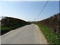 Ilsington Road towards Dorchester in DT2 8QW