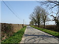 Ilsington Road towards Tincleton in DT2 8QT