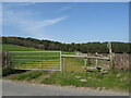 Field and footpath, Norris Mill in DT2 8QL