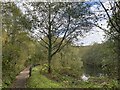 Footpath and lake in Tumble