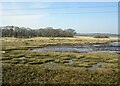 Salt marsh, Lytchett Bay in BH16 5AP