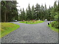 Loch Ard Forest - Milton Picnic and Parking Area in FK8 3TQ