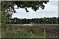 Weasenham All Saints: Recently ploughed field in PE32 2RZ