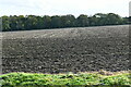 West Raynham: Ploughed field in NR21 7HB