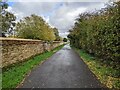 Path and old wall, Priory Country Park in MK41 9DJ