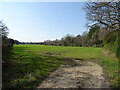 Crop field and woodland in DT2 8BA
