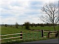 View east from Cow Bridge Road, south of Glastonbury in BA6 8TY