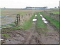 Farm track near Westruther in TD3 6NF