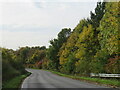 Autumn tints on Bury Lodge Lane, near Stansted Mountfitchet in CM24 1SG