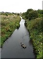 The River Dearne complete with abandoned shopping trolley in S63 8DG